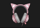 KRAKEN KITTY